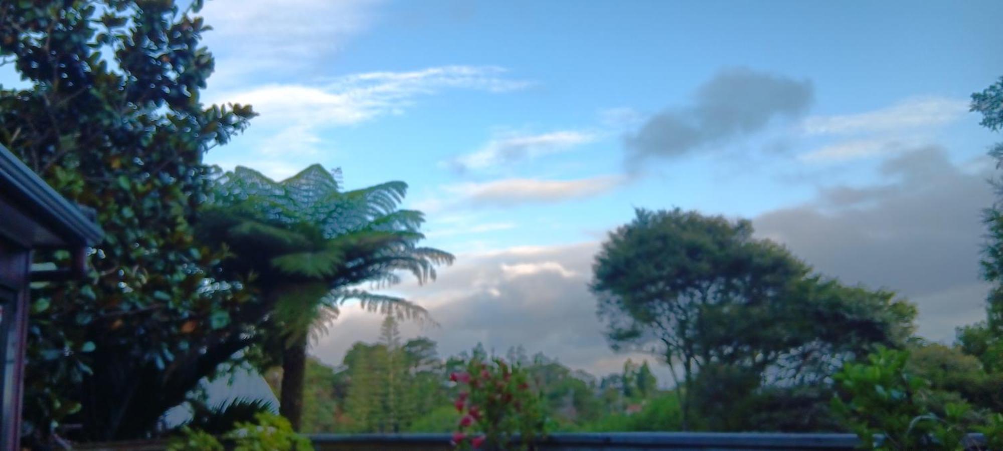 Tastebuds Bed N Breakfast Auckland Dış mekan fotoğraf