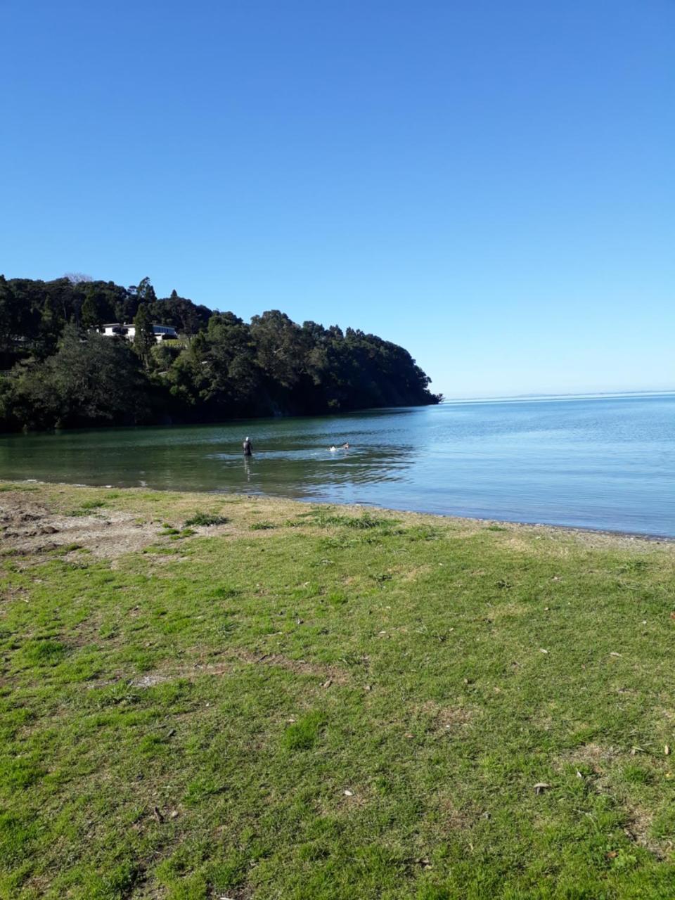 Tastebuds Bed N Breakfast Auckland Dış mekan fotoğraf
