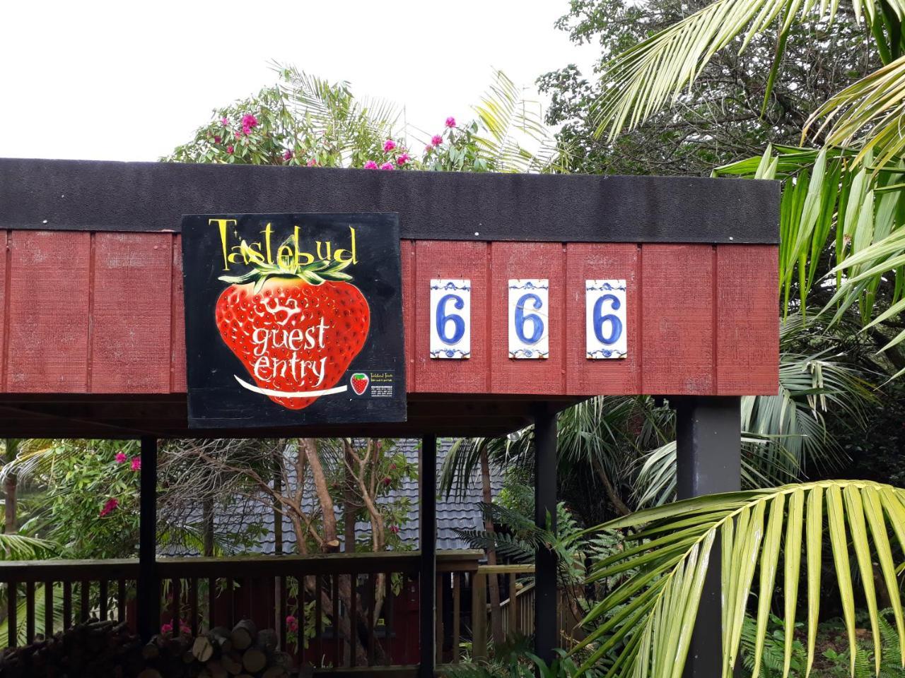 Tastebuds Bed N Breakfast Auckland Dış mekan fotoğraf